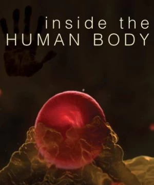 Inside the Human Body